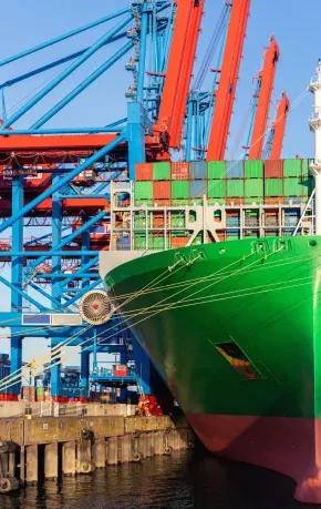 Vessel alongside the berth under terminal cranes